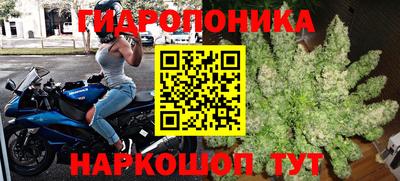 spice Партизанск